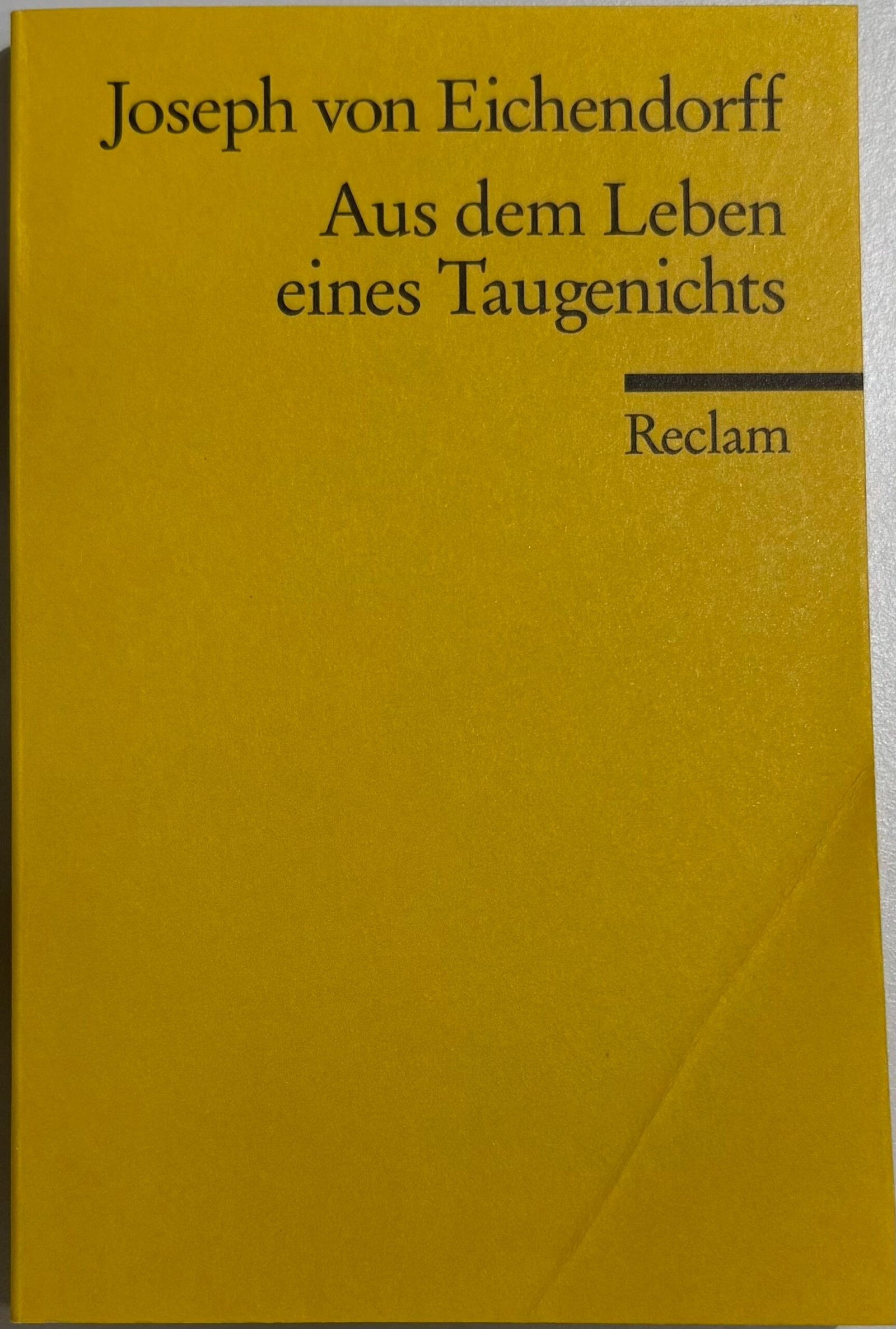 Aus dem Leben eines Taugenichts